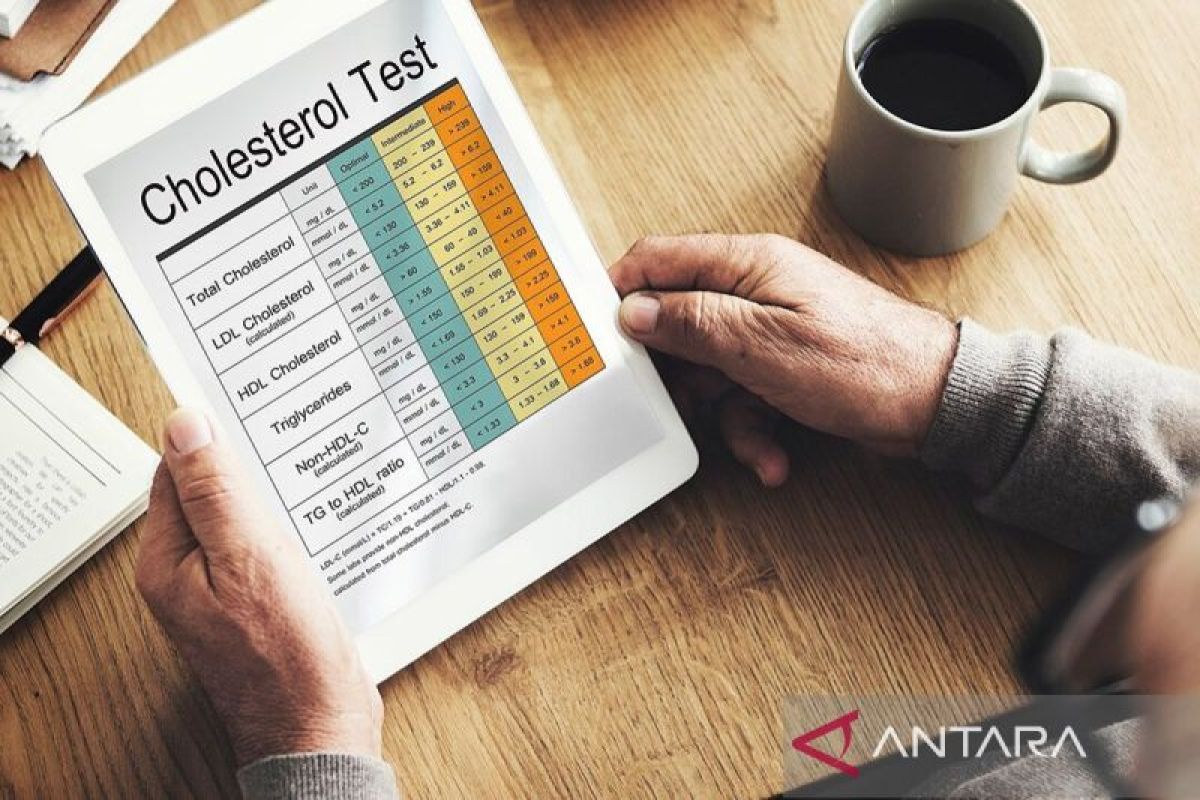 Cara menurunkan kolesterol secara alami