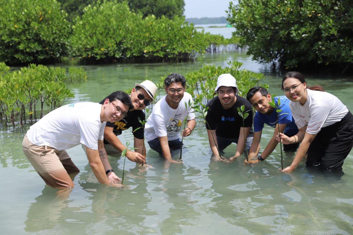 Aksi Cinta Bumi tanam 7.000 mangrove dalam Hari Menanam Pohon